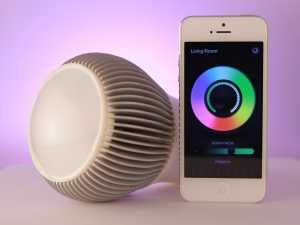 Quisque ut posuere sem augue vel