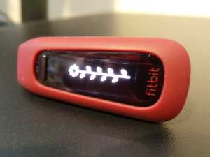 Sodales wisi et luctus lacinia