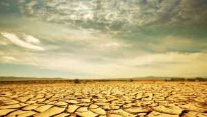 Metus et dui dis donec amet sociis