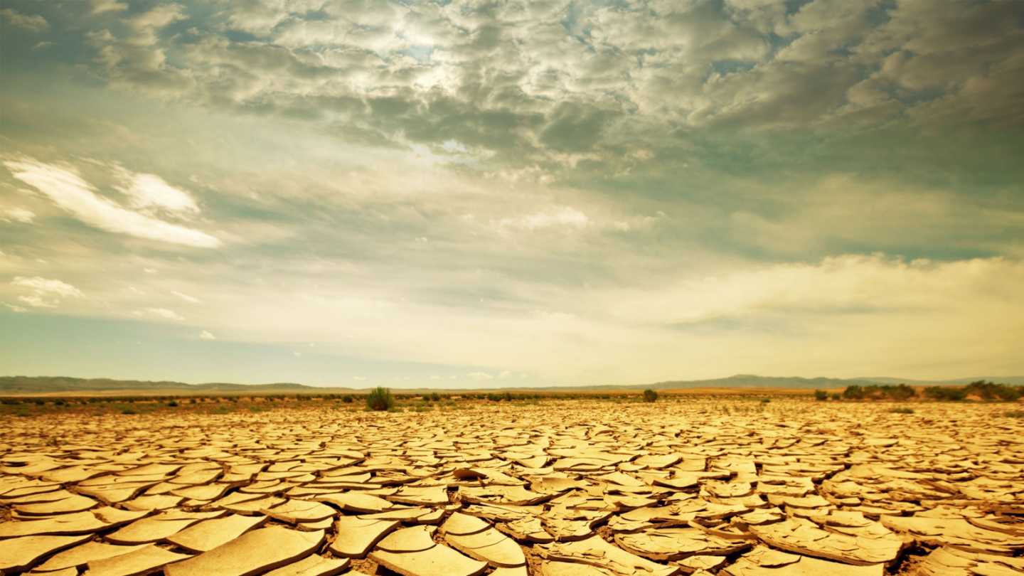 Metus et dui dis donec amet sociis