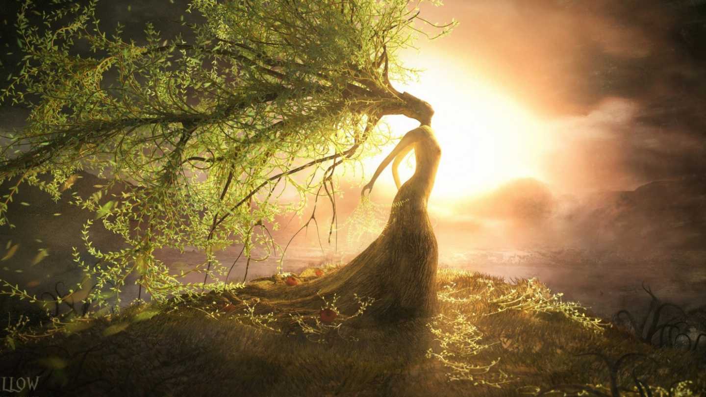 Nonumny dui dis donec amet sociis