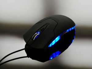 Similique vel quis risus mauris